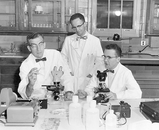 Experimental (induced) phenylketonuria in infant monkeys – A high phenylalanine diet produces abnormalities simulating those of the hereditary disease (1965)