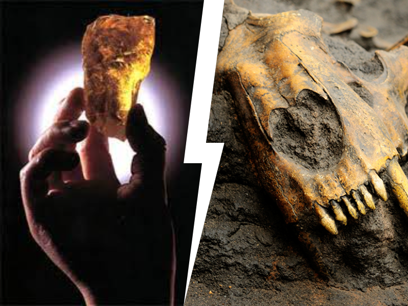 Crouching Hu Po, Hidden Long Gu?