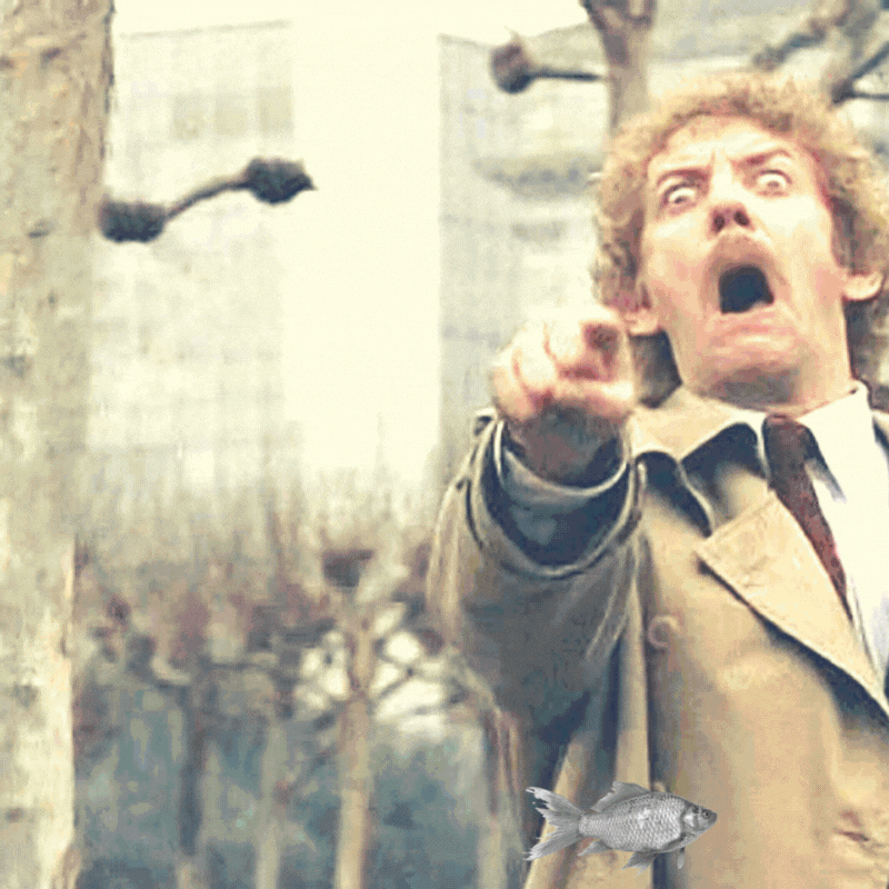 It is difficult to choose a few quotes from this halloweenish medical article from 1974