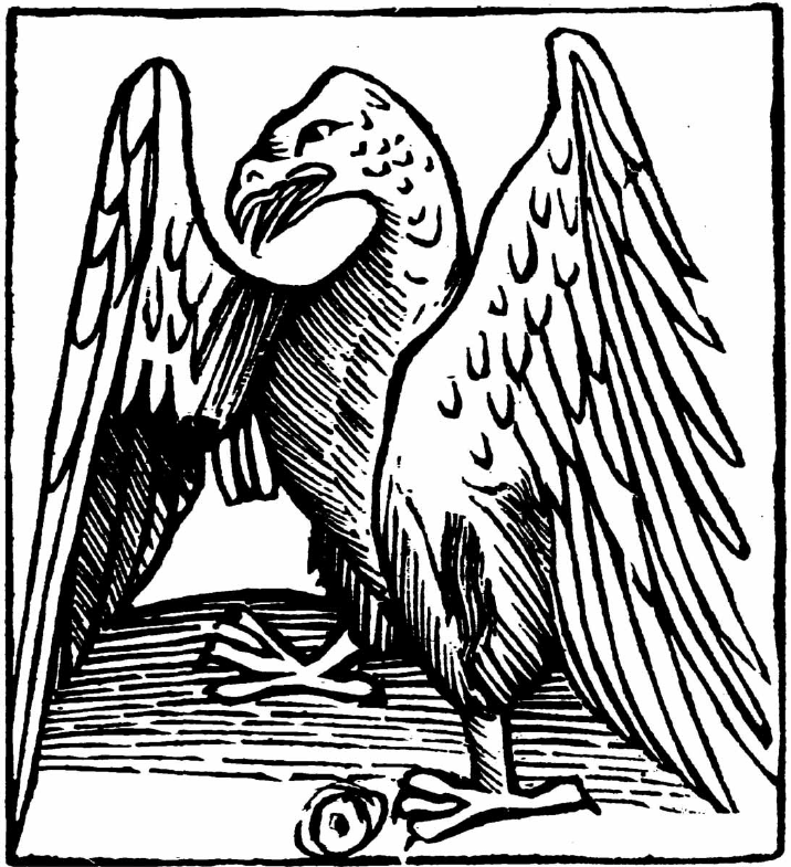 A Survey of Birds and Fabulous Stones