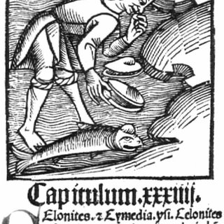 Fish Otoliths and Folklore: A Survey