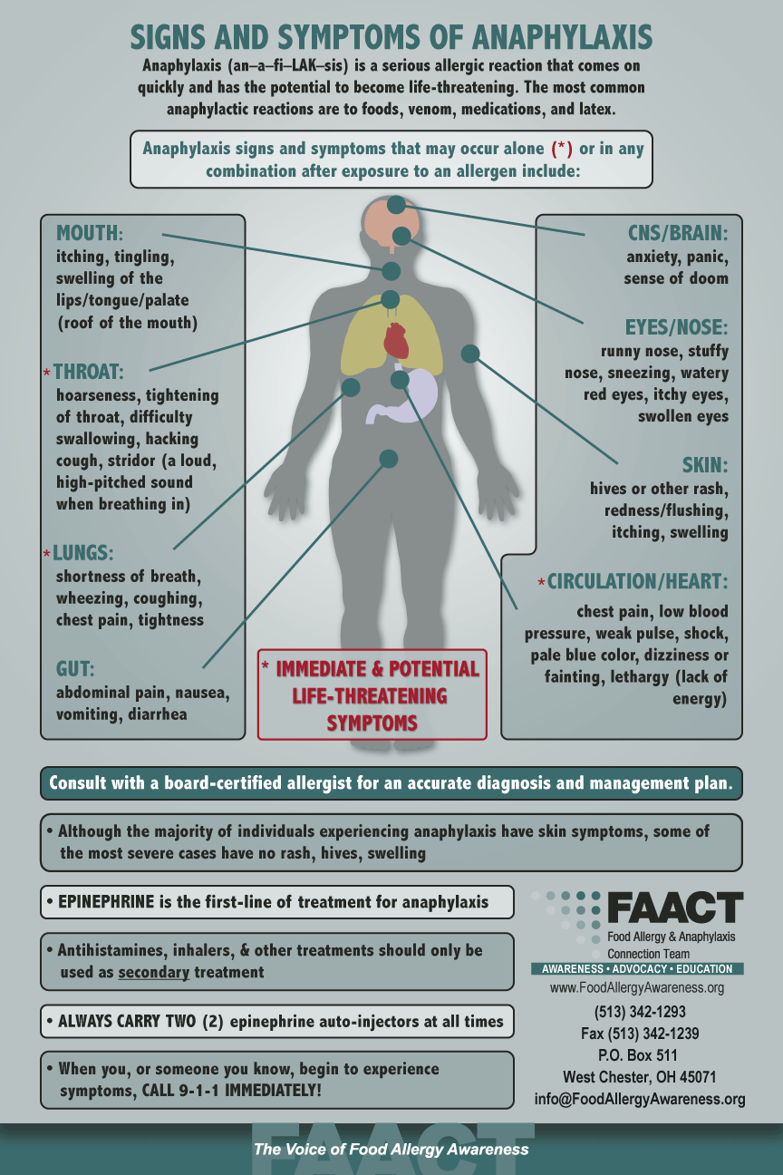 Allergolical (or Allergological) Syndrome Can Present with Both Respiratory and Alimentary Allergies