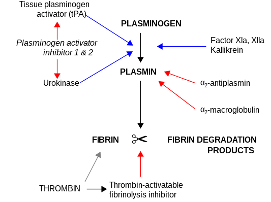 Urokinase (and Porta Johns?)