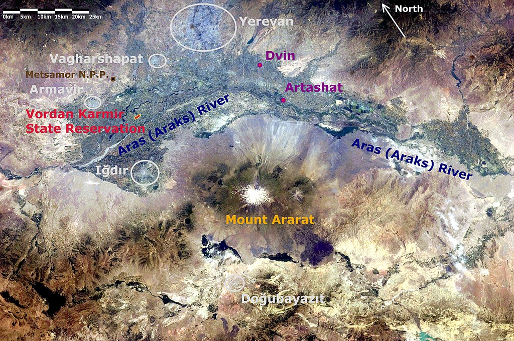 Armenian Cochineal Wiki