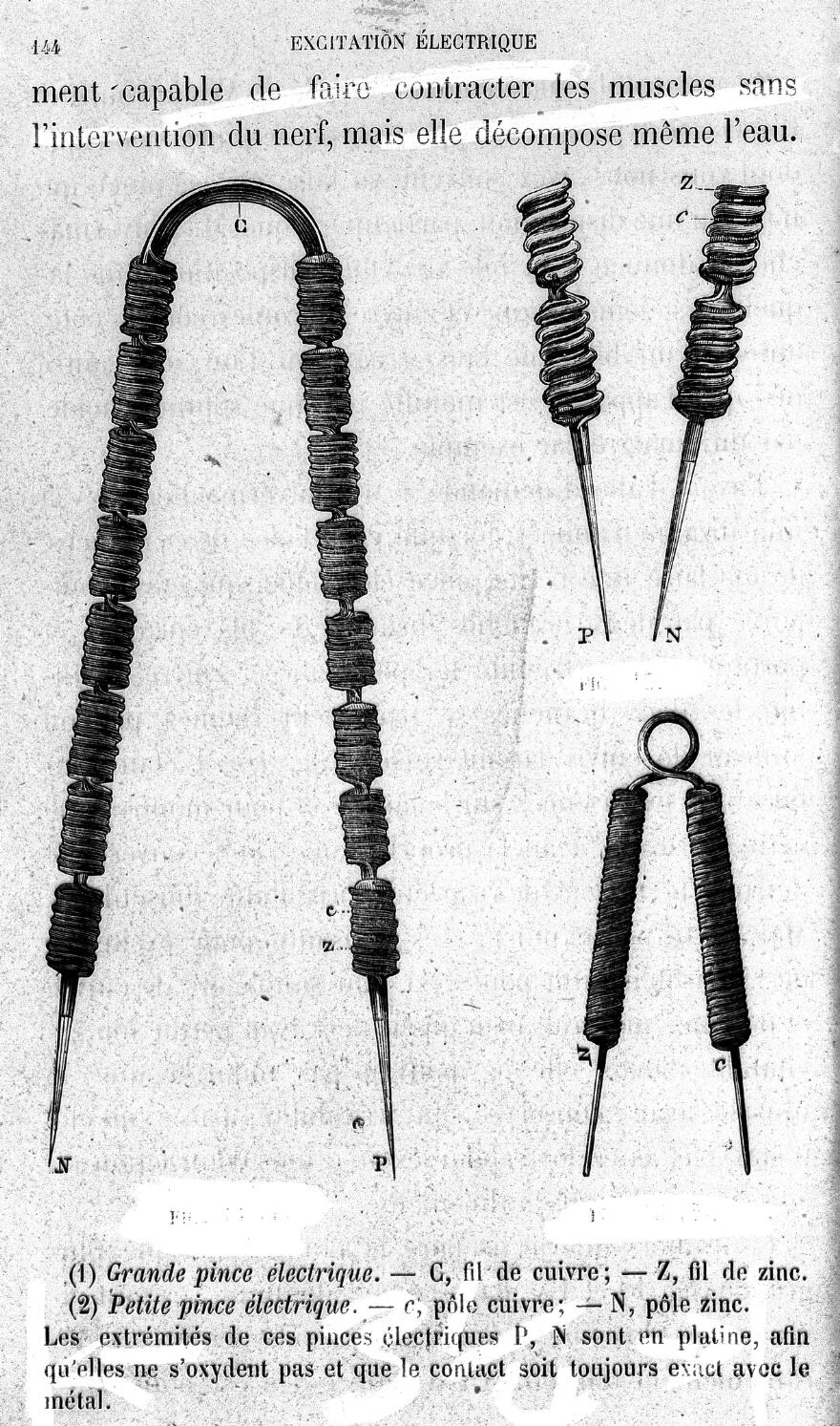 Apparatus (electro-physiological experiments; zinc-copper couples threaded on pincers) used in experiments on curare and its effect on nerves and muscles