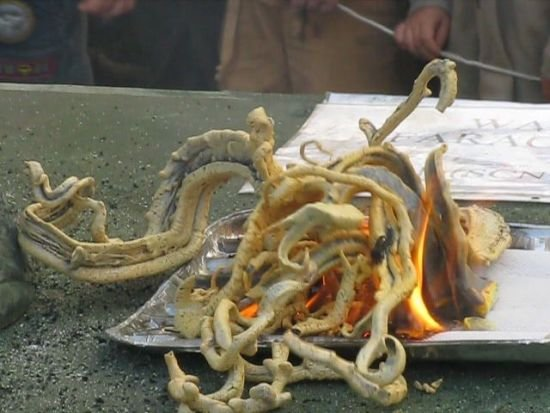 Black Snake (Firework)