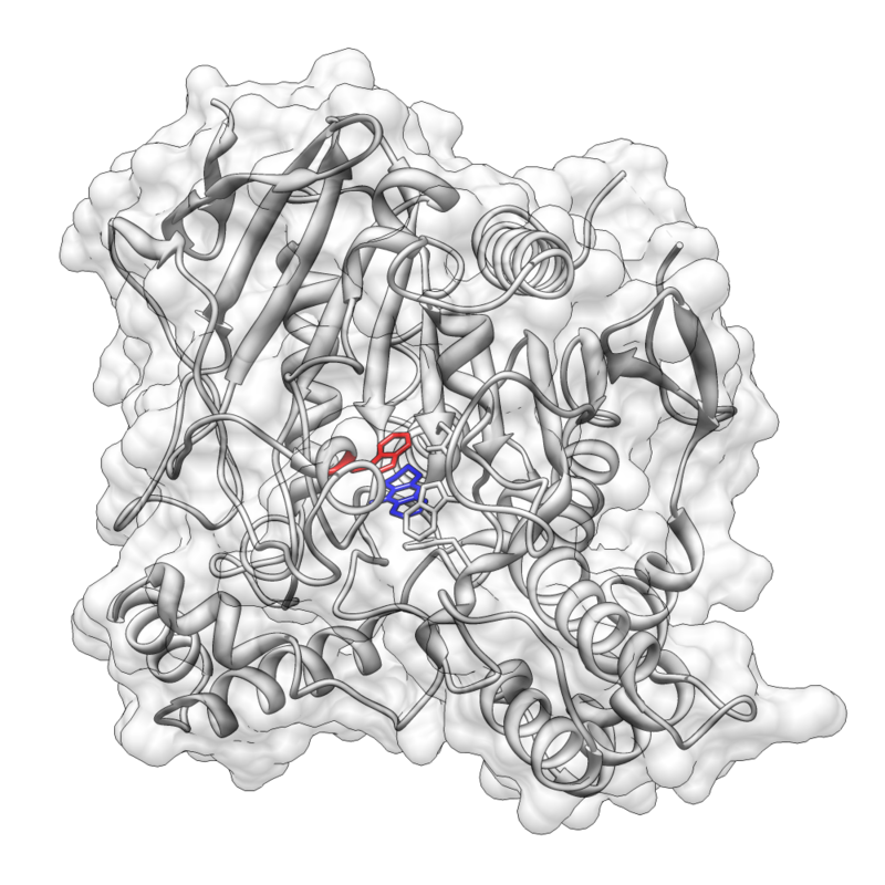 Pi stacking is prevalent in protein crystal structures and also contributes to the interactions between small molecules and proteins