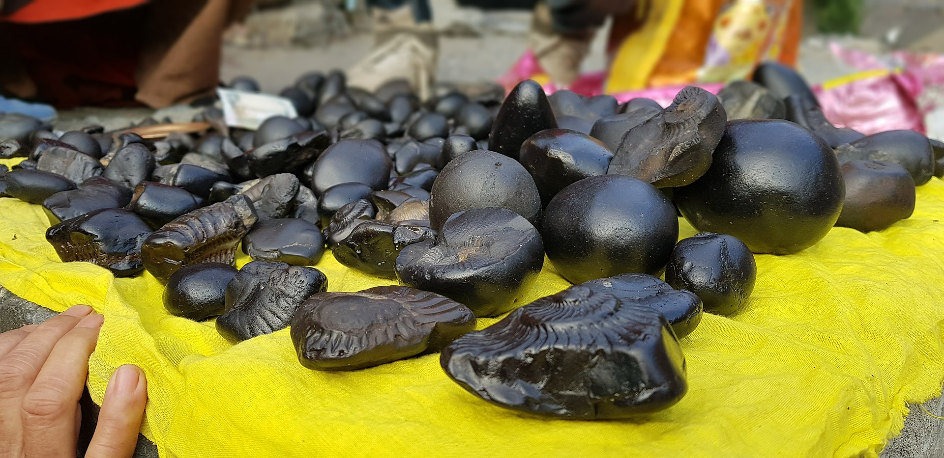 Shaligram