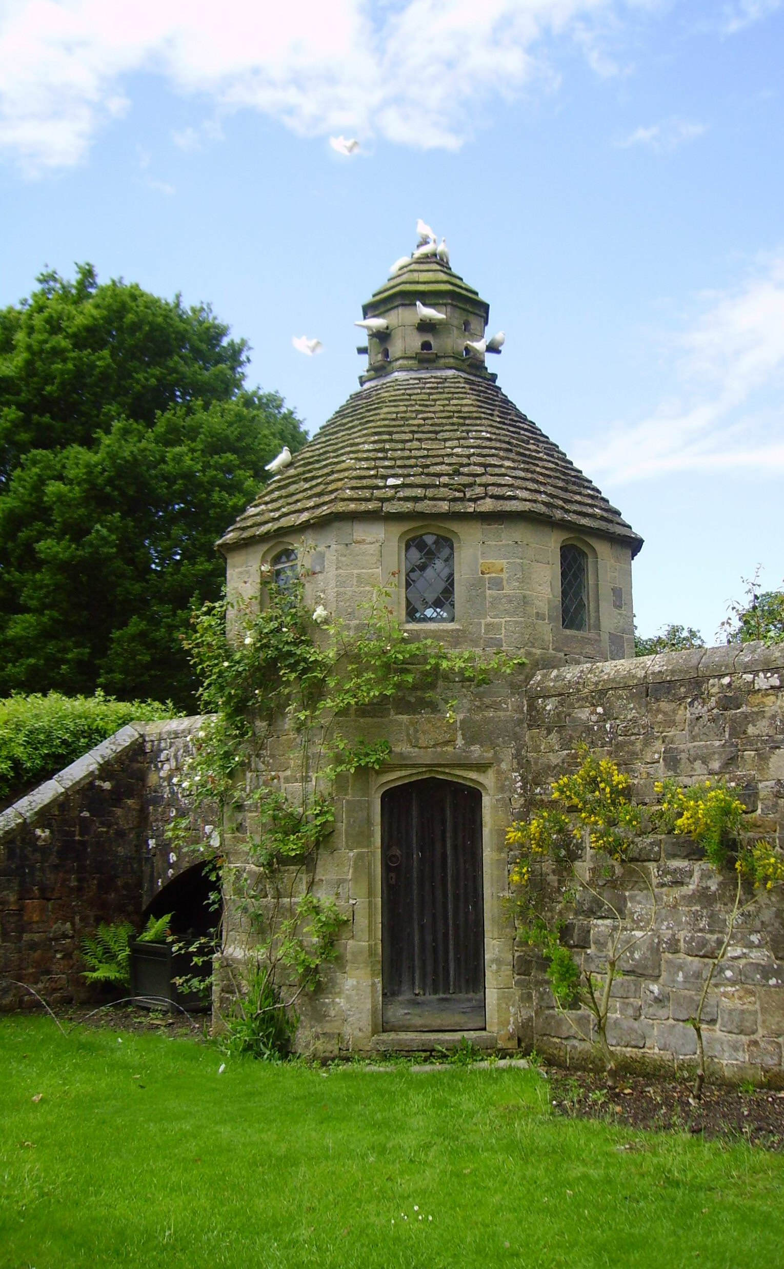 A dovecote or columbarium is a structure intended to house pigeons or doves