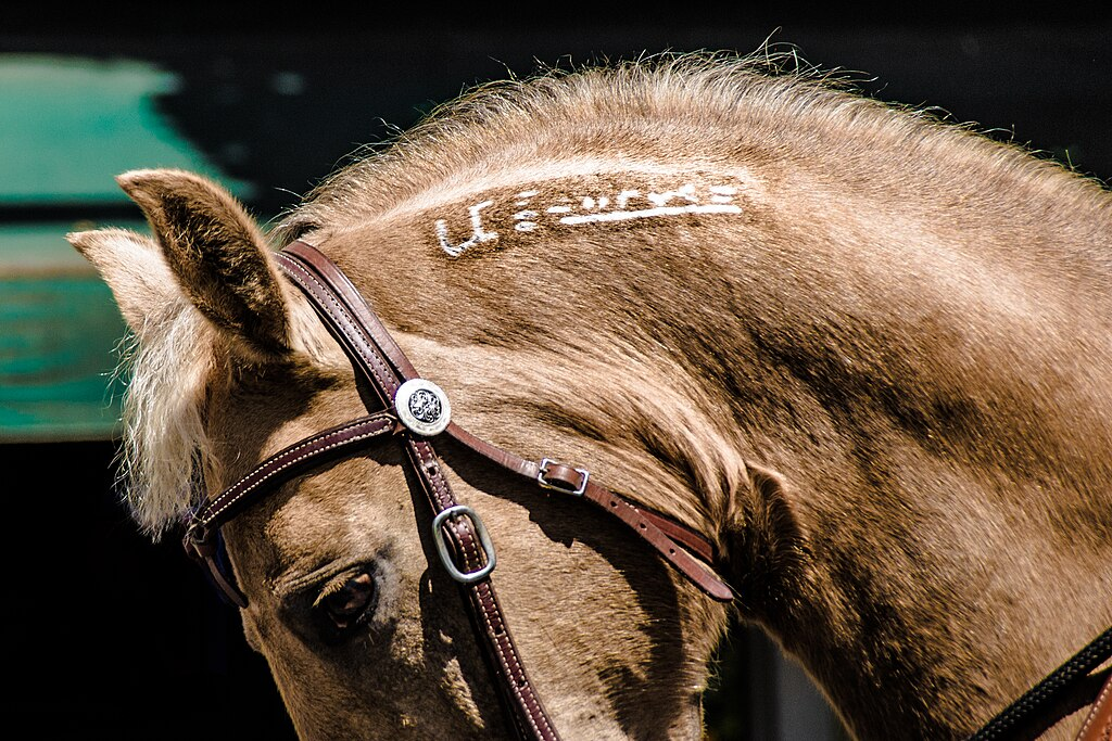 Freeze branding aka CryoBranding and the resulting brands, trichoglyphs, is a technique involving a cryogenic coolant instead of heat to produce permanent marks on a variety of animals