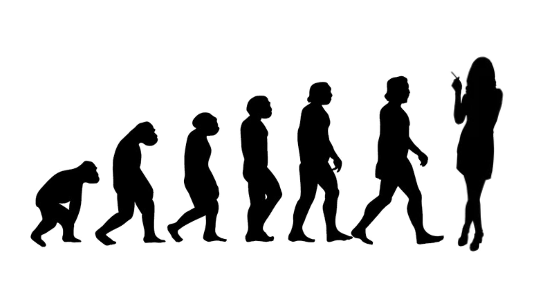 Brain-derived neurotrophic factor (BDNF) aka abrineurin