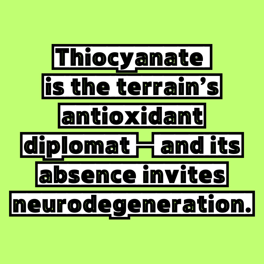 Parkinson’s Is Connected to Sodium/SCN⁻ Deficiency. Is There an Increased Risk in True CF?